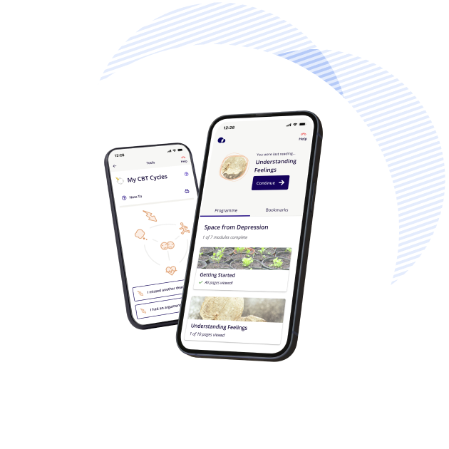 SilverCloud platform on phones