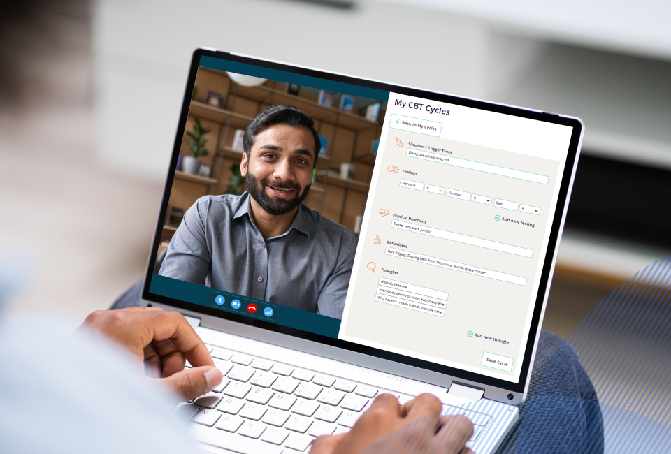 provider and patient talking via laptop
